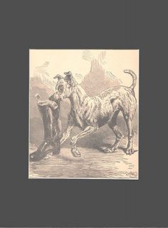   Terrier Dog 1883 Engraving by Harrison Weir 9X12 Matted Print