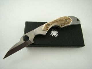 spyderco c75stp3 stag handle kiwi knife 8cr13mov 15 time left