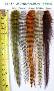 20 Whiting Grizzly Feathers for Hair Extension and Fly Tying, #5603 2 