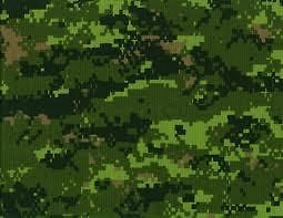   CADPAT CANADIAN DIGITAL CAMOUFLAGE MIL SPEC FABRIC sold by the yard