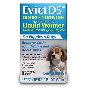 evict ds liquid wormer for puppies dogs 2 oz time