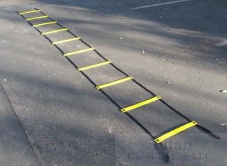 High Quality 30 Foot Speed / Agility Ladder (Two 15 foot ladders that 