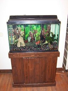 40 Gallon Fish Aquarium Wooden cabinet stand Whisper Filter System No 