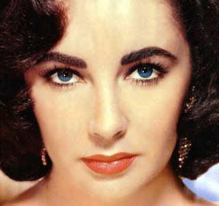 Elizabeth Taylor Domain name ELIZABETH TAYLOR.CO