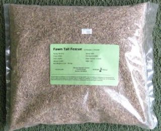fawn tall fescue 2 lb bag grass seed a cool season bunch