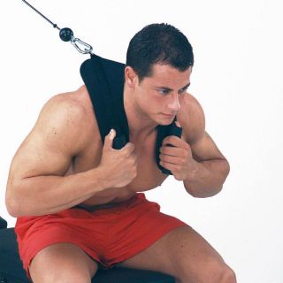 our  store for more exercise equipment ab crunch harness