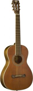 washburn r319swkk parlor acoustic guitar with case