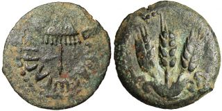 Agrippa I Prutah Canopy Three Barley Judaea Choice