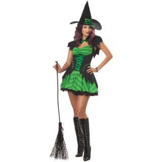 Pocus Witch Adult Womens Hocus Pocus Witch Halloween Costume Std Plus 