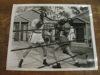 Alex Nicol Vintage Boxing Movie Photograph