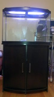 36 Gallon Bowfront All Glass Aquarium with stand filter and 