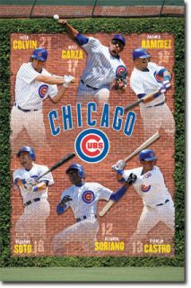 MLB Chicago Cubs Team 2011 Alfonso Soriano Poster