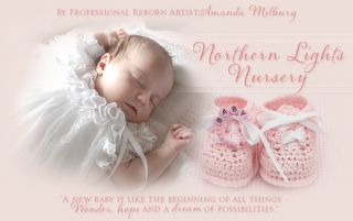 Reborn Baby Girl Doll Shyann by Aleina Peterson Now Ava