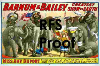 Vintage Barnum Bailey Circus Aintque Poster Ad Amy Dupont 1900