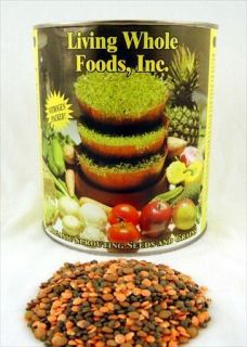 lb Organic Lentil Sprouting Sprout Seed Mix Blue Green Red Dried Soup 