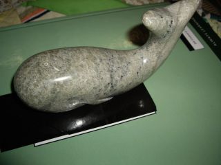   Alaskan Whale Polished Stone Carving Anchorage Alaska Authentic