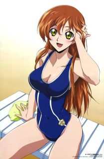 Anime Code Geass Sexy Figure Shirley Fenette Swim Suit