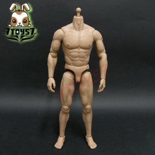 ACI Toys 1 6 Muscular Body Andrew Ver 4 Left Arm Tattoo Body 6 Hands 