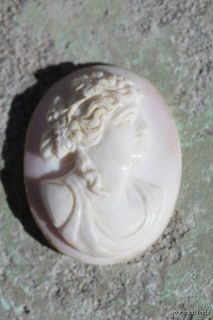 Antique Hand Carved Italian Pink Conch Shell Cameo Bacchante with No 