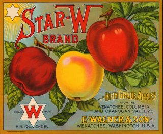 Star w RARE Vintage Apple Litho Label Wenatchee 1920s