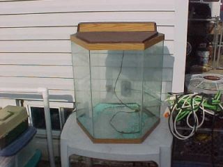 octagon fish tank aquarium 20 gallon