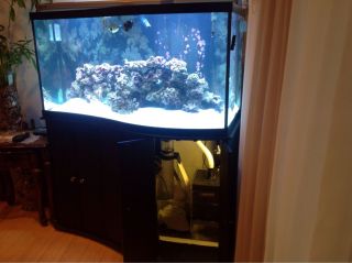   Tank Aquarium Plus Cabinet And Lights Whit Complete Filtration System