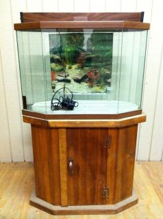 30 Gallon Hex Fish Tank Aquarium and Wood Stand