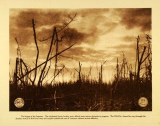 1920 Rotogravure WWI Argonne Battlefield No Mans Land Destruction 35th 