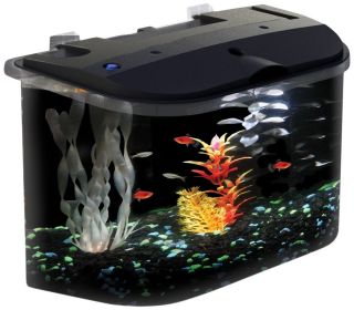 Aquarius 5 Rounded 5 Gallon Aquarium Kit Compact Fish Tank Apartment 