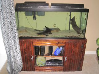 75 Gallon Fish Tank Aquarium w Stand Accessories Fish Read more http 