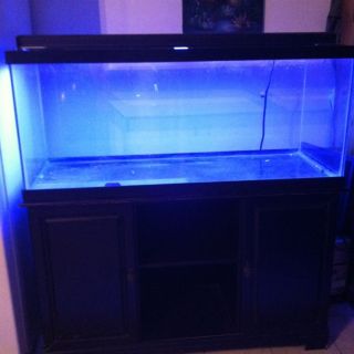 75 Gallon Aquarium with Wood Stand Lights and Filter Many Extras