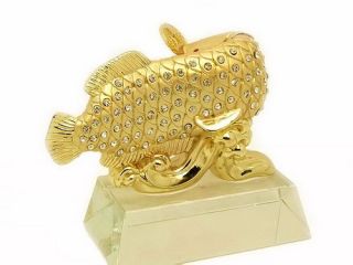 Gold Dragon Arowana Fish to Attract Wealth & Money Luck   Feng Shui 