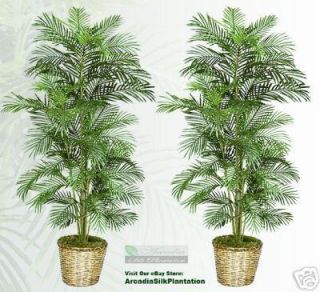 Two 6 Areca Artificial Palm Trees Silk Plants New 116