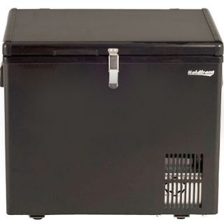 43 Qt Chest Freezer Refrigerator Portable Compact Cooler w 12V DC AC 