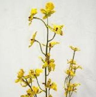    Oncidium Orchid spray YELLOW Silk Flowers Artificial Plants Wedding