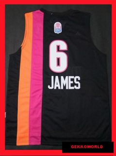 LeBron James #6 Miami Heat NBA Basketball ABA Hardwood Black Away 