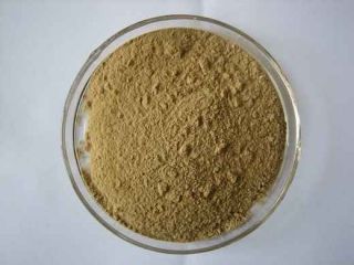 1oz A Artemisia Absinthium Extract Powder 5 1 5X  