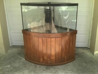Corner Aquarium Solid Wood Stand Sealife Systems Filter 85 gallon