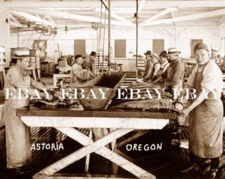 Early 1900s Chinese Fish Fishing Astoria Oregon or Photo