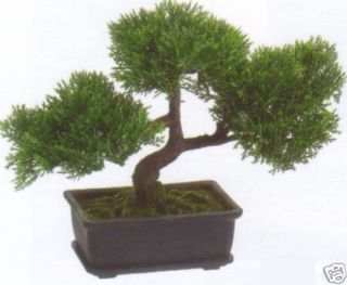 Artificial Cedar Bonsai Tree Topiary Inoutdoor Plant