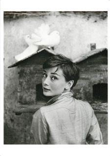 Audrey Hepburn and Birdhouse in 1955 by Philippe Halsman Modern 