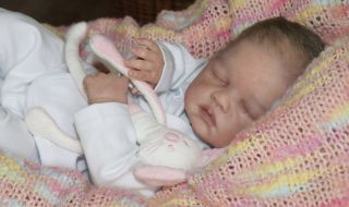 Reborn Baby Doll Rebornbaby Cianne by Romie Strydom New
