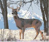 Snow Deer Small Version Latch Hook Hooking Rugs Charts Patterns Only 