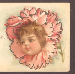 Scarce Brundage Fantasy Flower Baby Face Old Postcard