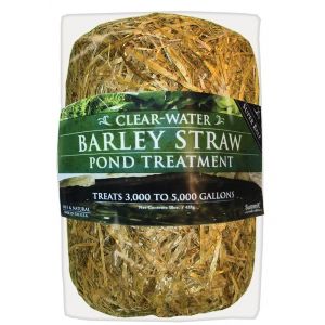 Bales of Clear Water Barley Straw Bale Treats 10 000