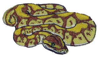 Pastel Ball Python Patch Royal Snake Pet Iron on Patch
