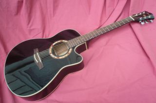 The Ibanez AEF18E Acoustic Electric Guitar with Onboard Tuner and Fire 