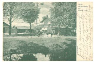New York Batavia Willow Bend Inn Buggy 1907 Postcard NY