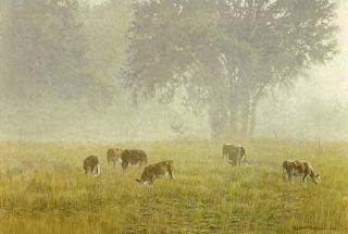 Robert Bateman Summer Morning Pasture s N Framed Limited Edition Print 