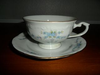 CHODZIEZ POLAND CHZ12 CUP AND SAUCER BLUE AND GRAY FLORAL SWAGS WITH 